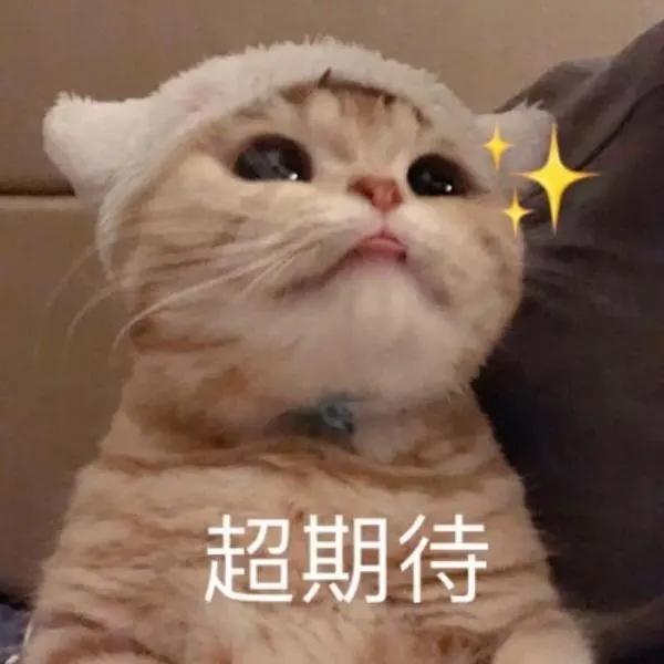 33.webp.jpg