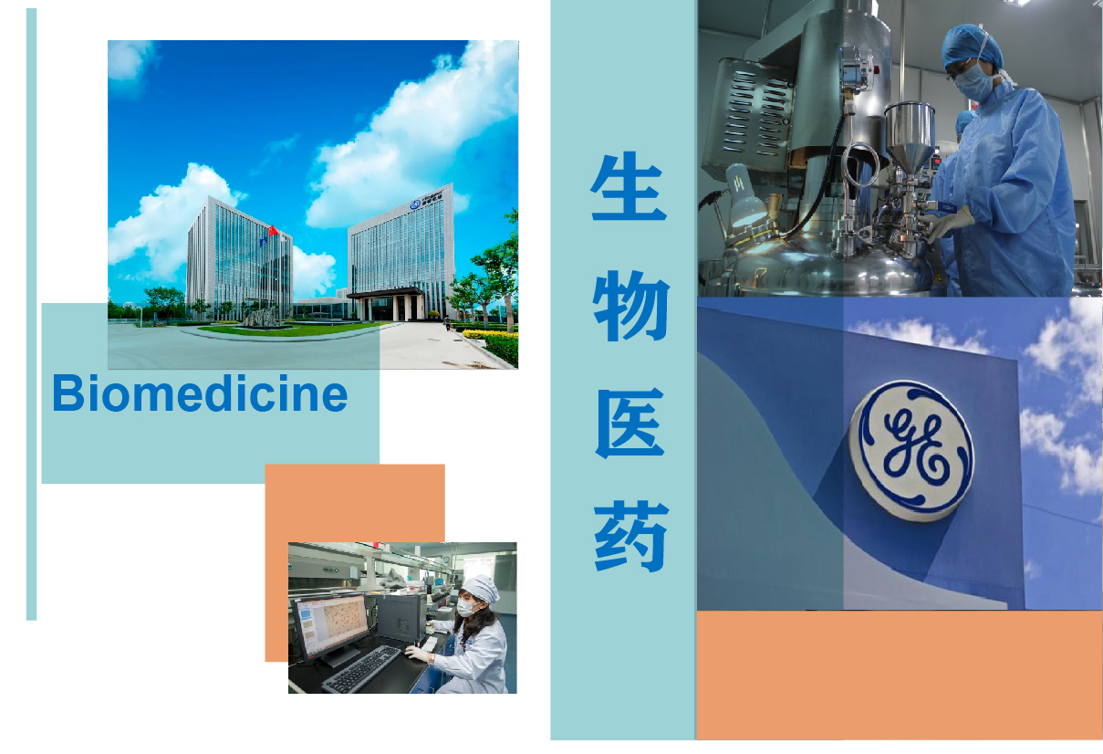4.生物医药-4.jpg