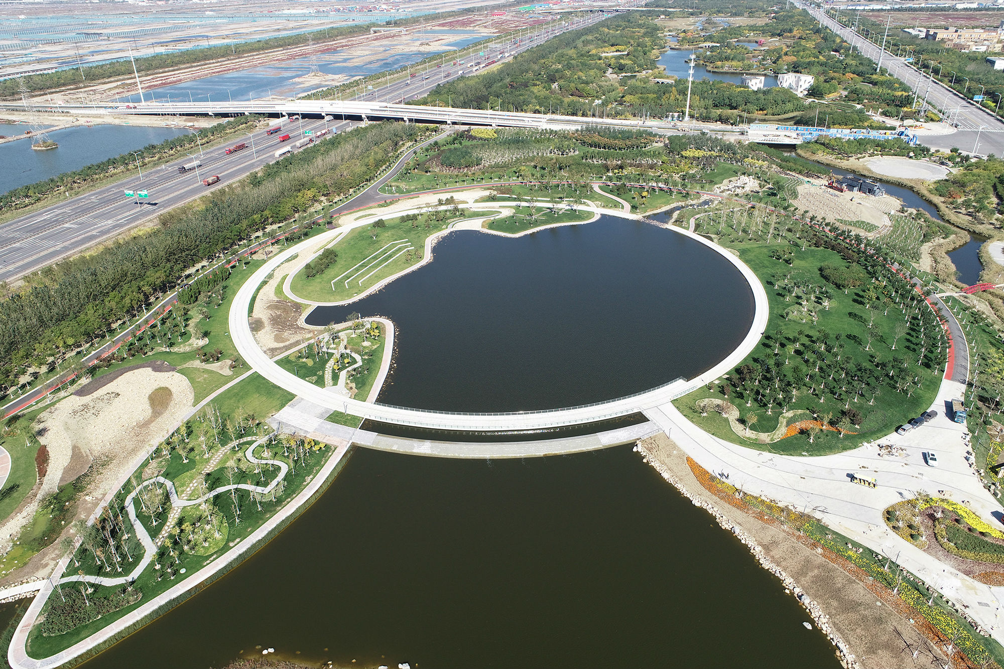 临港生态湿地公园图片