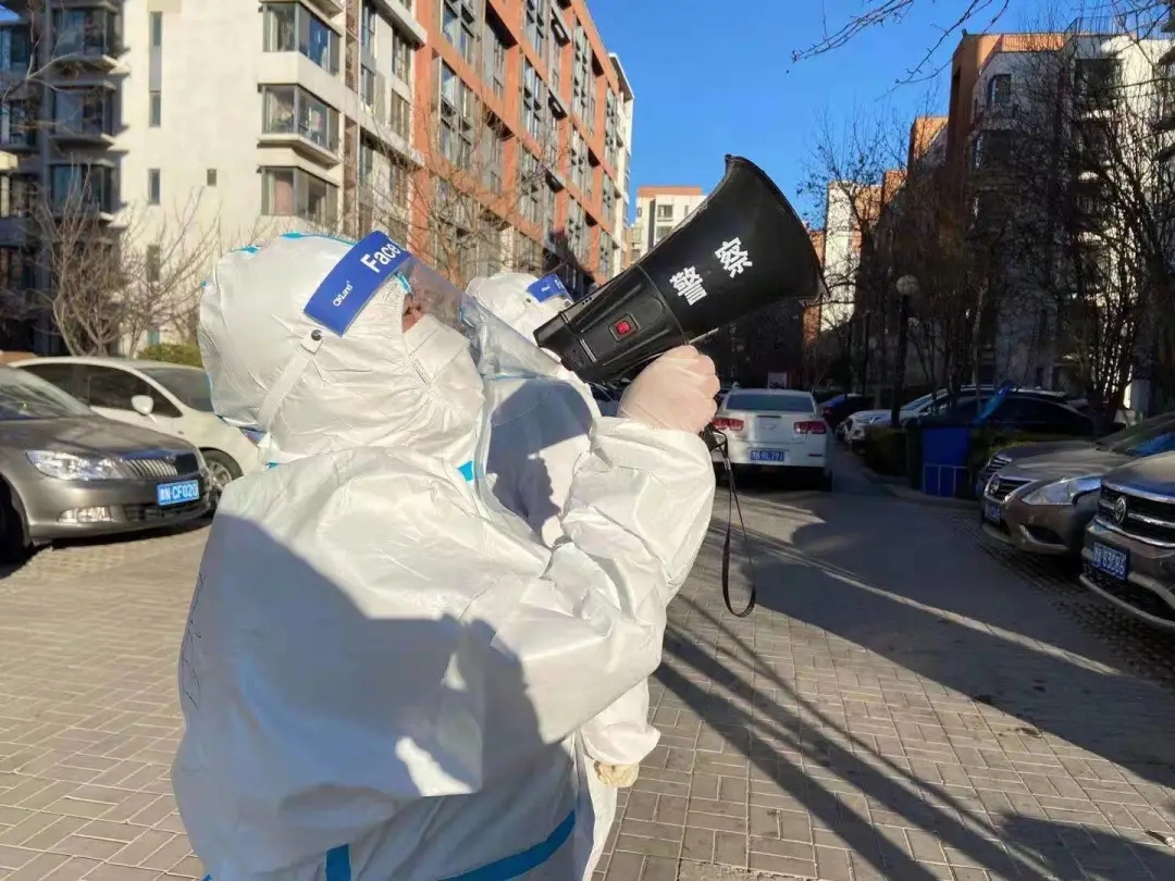 02.webp.jpg