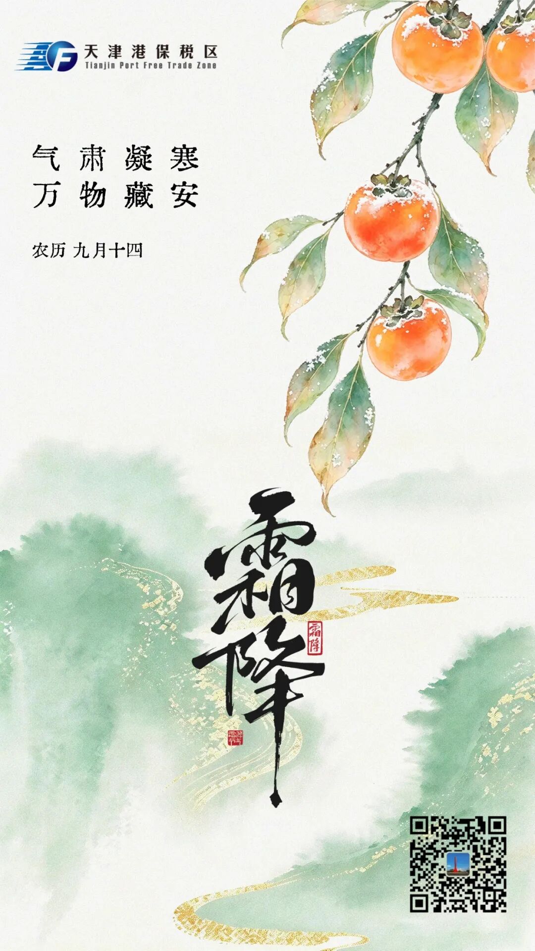 霜降.jpg