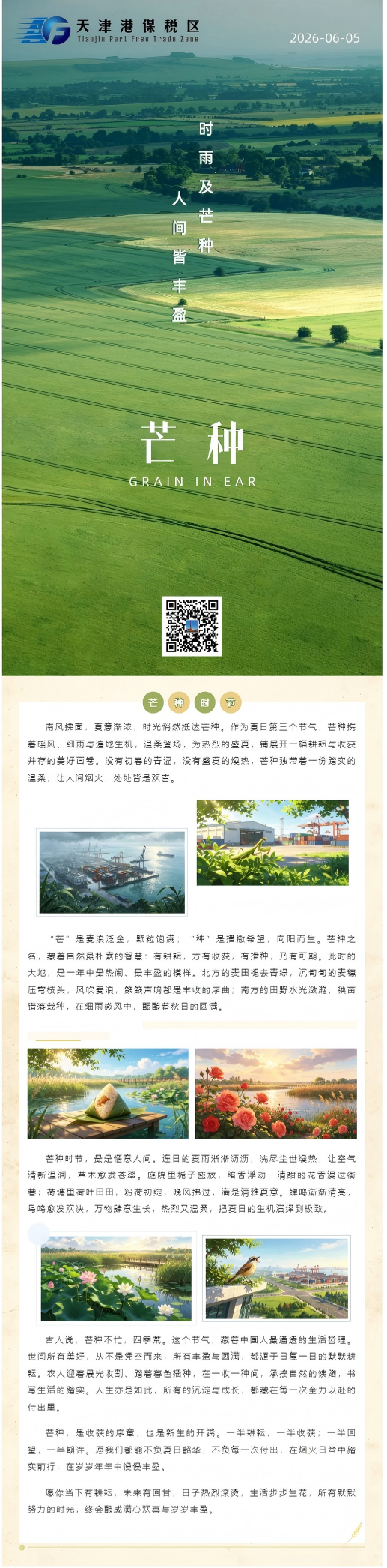 动漫节气 _ 芒种:时雨及芒种 人间皆丰盈.png