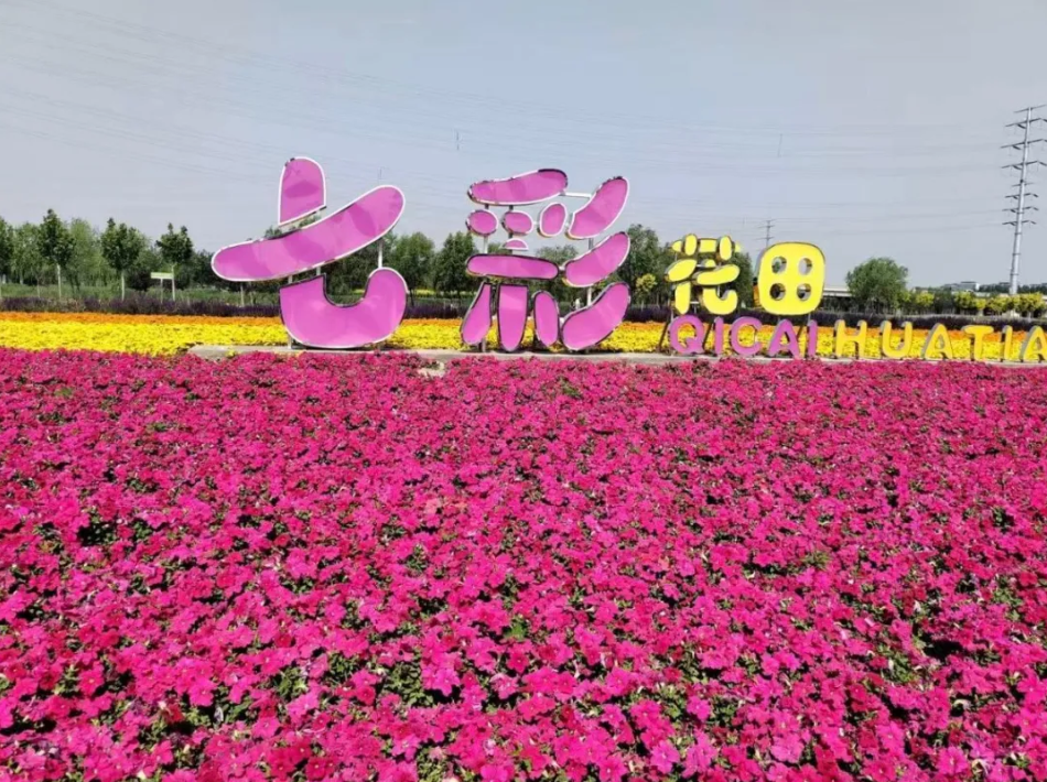 微信图片_20260918115633_419_59.png